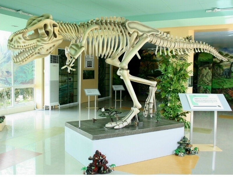 Life Size T-Rex Dinosaur Skeleton Replica Made For British Natural History Museum 